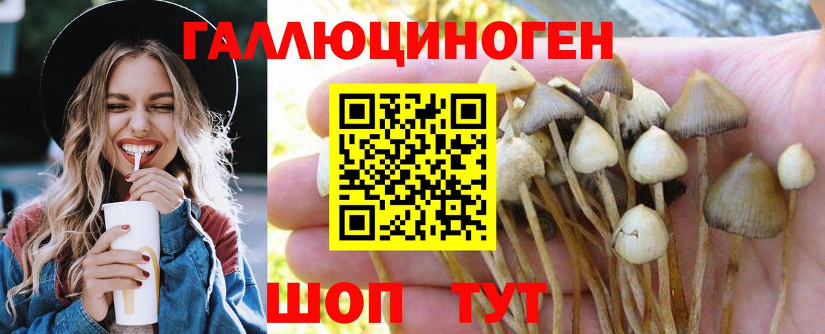 Галлюциногенные грибы ЛСД Обнинск